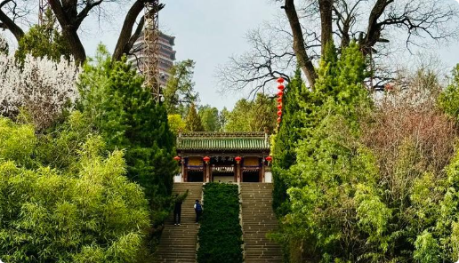 小城出圈：火爆背后隐藏着怎样的文旅逻辑?