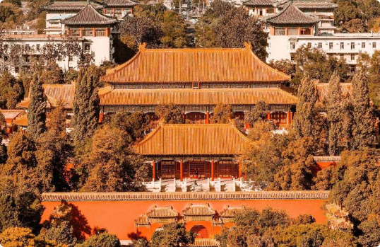博物馆文化的互动：故宫与游客共同谱写的现代故事