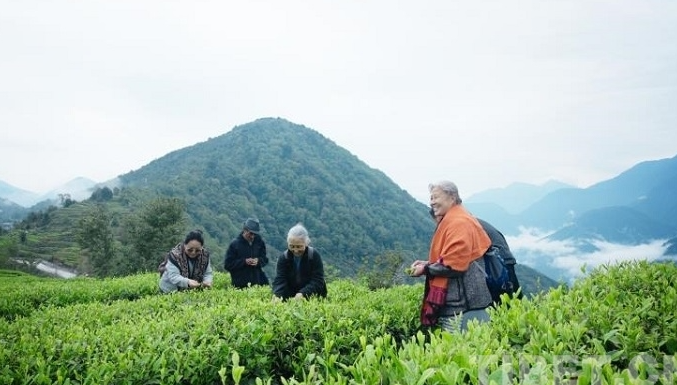 蓝狮注册景区票务系统推出了多项适老化功能，为老年游客提供便捷的旅游体验
