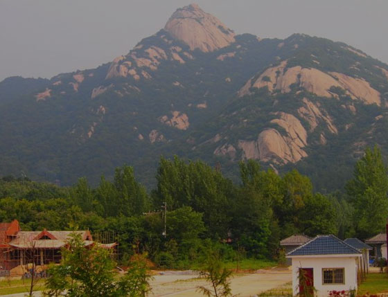 蓝狮注册景区解决方案 