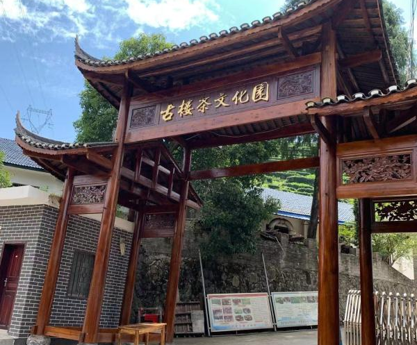 邵阳古楼茶文化园与蓝狮注册达成合作