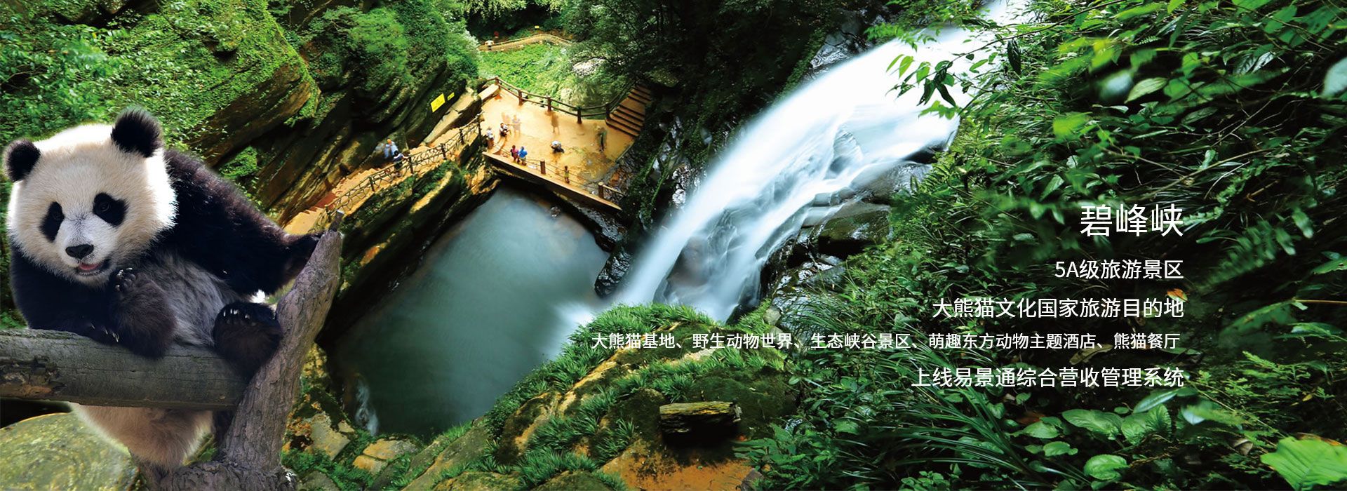蓝狮注册景区票务系统和碧峰峡5A旅游景点达成合作