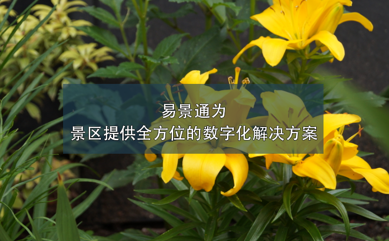 蓝狮注册为景区提供全方位的数字化解决方案
