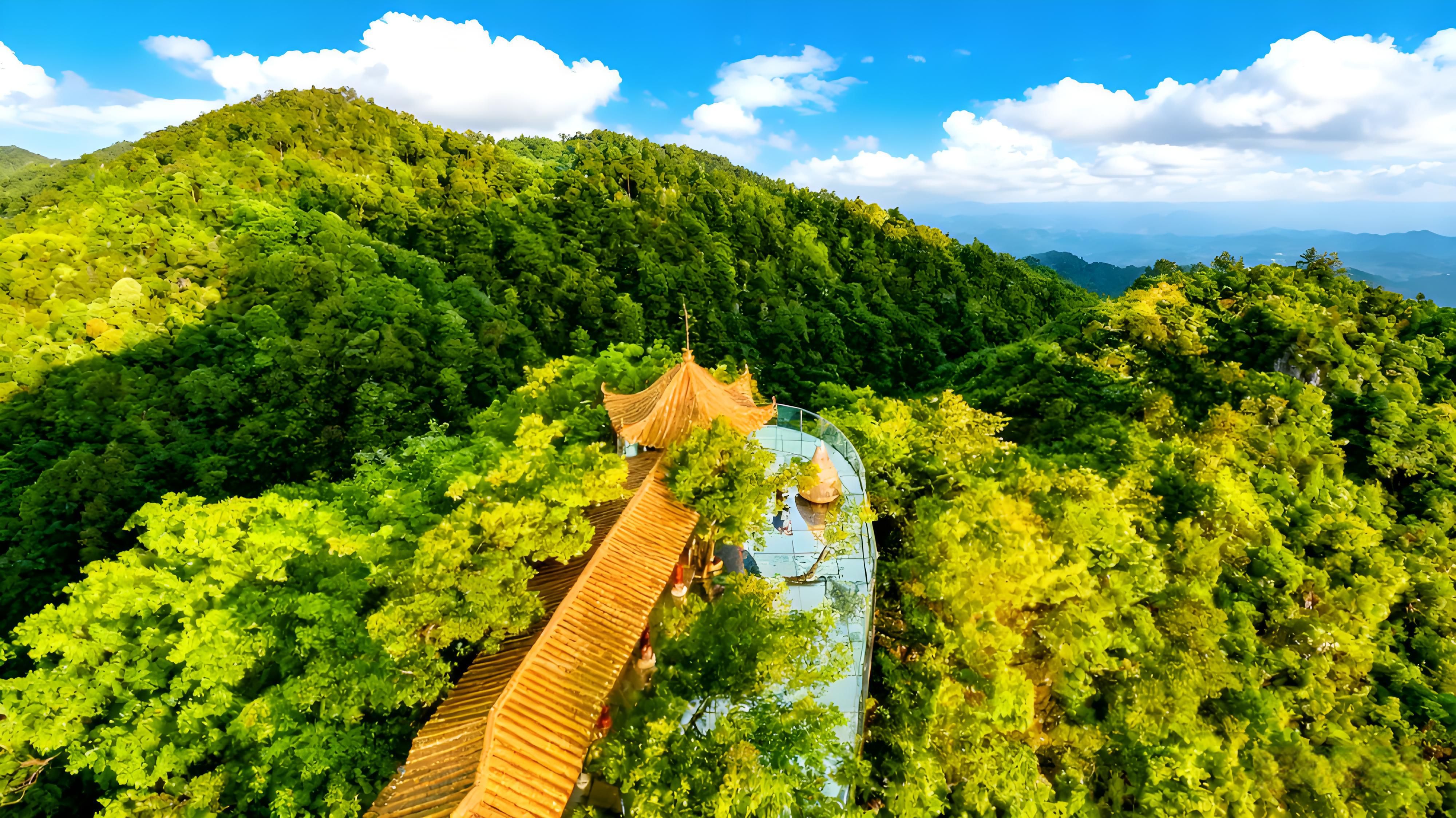 1760091478783532.jpeg 1760091478783532.jpeg